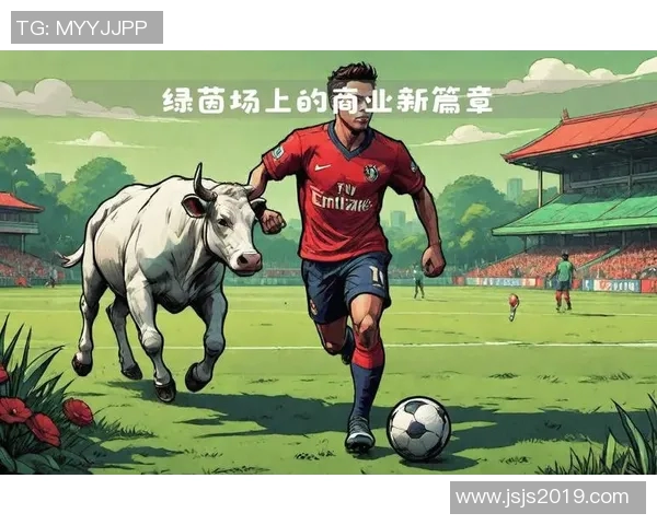 以球星证足球辉煌历程展现绿茵场上拼搏与荣耀