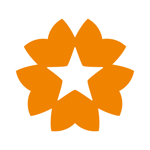 孙志强